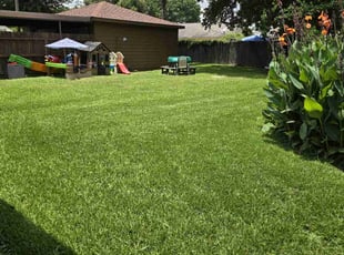 Connie B.'s Lawn Mowing service result