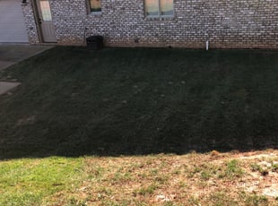 Cleanups by Caleb Beckstein for Todd F. in Fort Mill, SC