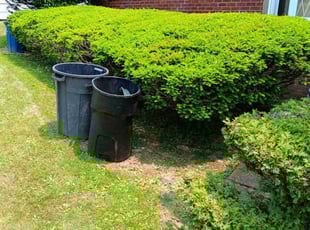 Bush Trimming by Marlon Hardman for James M. in Pittsburgh, PA