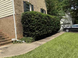 Bush Trimming by Miguel Morales for Barbara A. in Clayton, NC