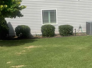 Bush Trimming by Kellen Lamb for jane M. in Greer, SC