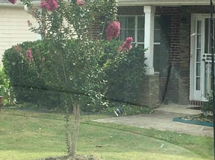 Bush Trimming by Justin Tolden for Larry K. in Stone Mountain, GA