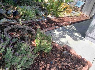 Cleanups by Dustyn Roberts for Hugh S. in Oceanside, CA