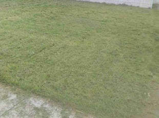 Mulching by David Galvan for Karam J. in Dearborn, MI