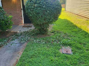 Bush Trimming by Brinson Gardner for Jakema B. in Covington, GA