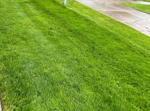 Donald W.'s Lawn Maintenance service result
