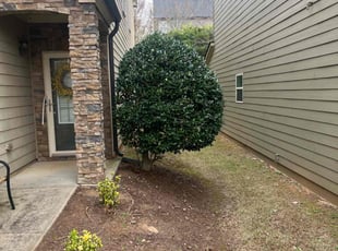Bush Trimming by Jovon Braddy for Pat D. in Atlanta, GA