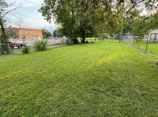 Michelle T.'s Lawn Service service result