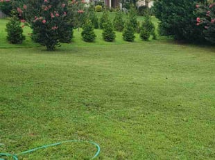 Sarah L.'s Yard Cutting service result