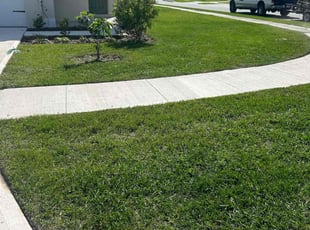 Saovapa P.'s Lawn Care service result
