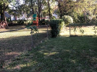 Bush Trimming by Brandon ABRAM for Sevren B. in Shawnee, KS