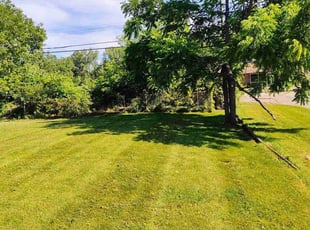 Leo G.'s Lawn Service service result