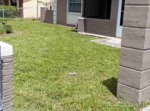 Michael L.'s Lawn Mowing service result