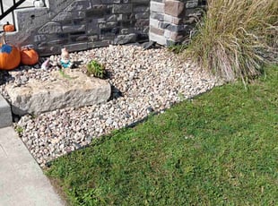 Weeding by Kevin Rhyne for Isabel P. in Fitchburg, WI