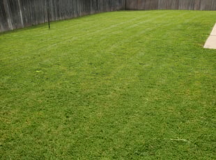 Richard B.'s Lawn Service service result
