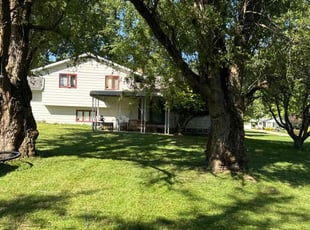 Adriana L.'s Lawn Mowing service result