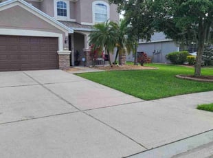 Frank D.'s Lawn Care service result