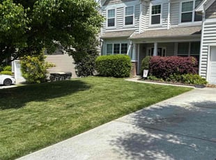 Deaven M.'s Lawn Mowing Service service result