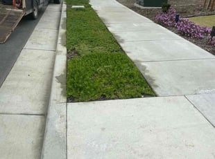 Weeding by David Morgan for Jamillah O. in Bakersfield, CA