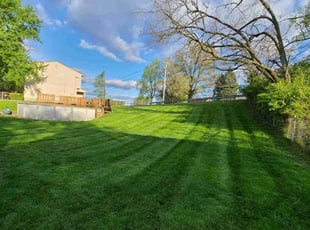 Calvin A.'s Yard Cutting service result