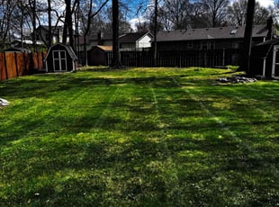 Robert F.'s Lawn Mowing service result