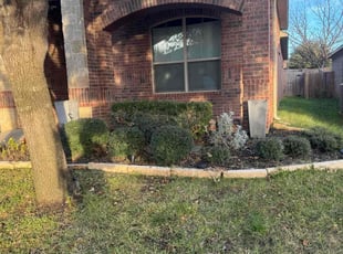 Bush Trimming by Quentin Morgan for Jane C. in Denton, TX