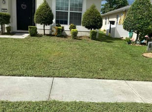 Jessica G.'s Yard Cutting service result