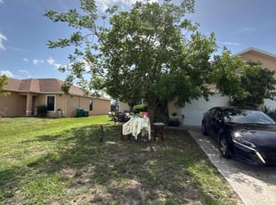 Bush Trimming by Timothy Holland for Audrey A. in Cape Coral, FL