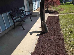 Bush Trimming by Juan Manuel Silva correa for Bob W. in Gresham, OR