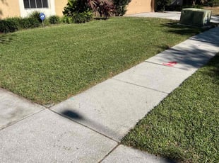 Jordan C.'s Lawn Service service result