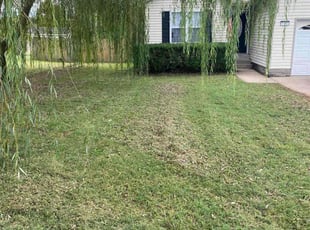 Karen B.'s Lawn Mowing service result