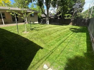 Nancy C.'s Lawn Service service result