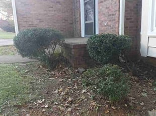 Bush Trimming by Enrique Juarez for Sharon W. in Marietta, GA