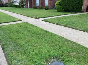 Gail N.'s Lawn Mowing service result