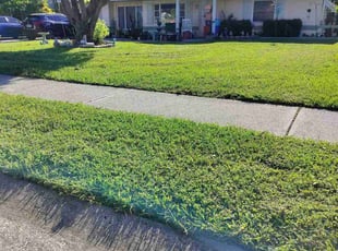 Caitlin G.'s Lawn Service service result
