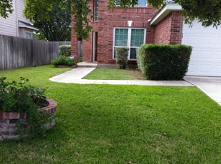 Bush Trimming by Jason Salazar for Jesse P. in Helotes, TX