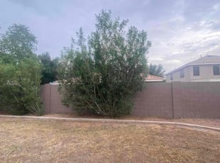 Bush Trimming by jimmy ruiz for Tori C. in Gilbert, AZ