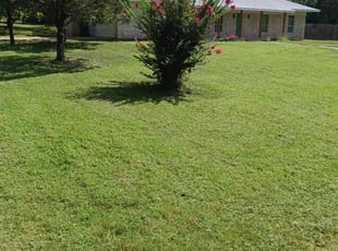 Krystal R.'s Lawn Care service result