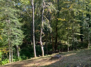 Cleanups by Chris Gilliam for Justin S. in Williamsburg, VA