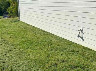 Tonya S.'s Lawn Mowing service result