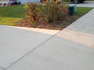 Bush Trimming by Alan Hollis for Courtney B. in Tallahassee, FL