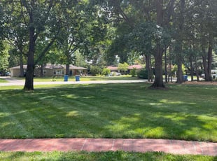 David T.'s Lawn Care service result