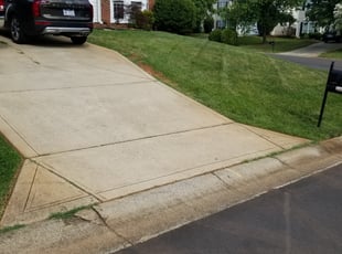 Bush Trimming by David Fregeau for Brandon D. in Charlotte, NC