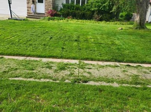 Molly A.'s Lawn Mowing Service service result