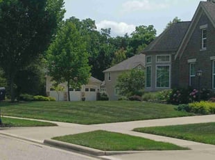 Philip M.'s Lawn Mowing Service service result