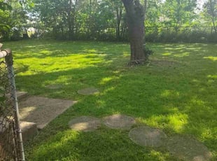 Laida B.'s Grass Cutting service result
