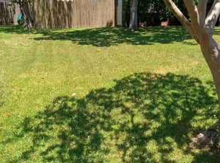 Glenn J.'s Lawn Mowing service result