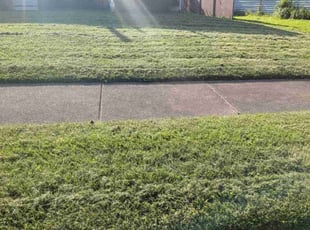 Cleanups by Joseph Beatty for Cheryl M. in Youngstown, OH