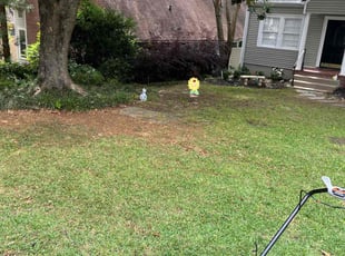 Leaf Removal by Nathaniel Stanley for Sarah W. in Atlanta, GA