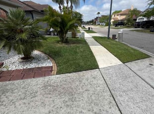 Chris C.'s Lawn Care service result